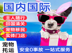布拉克机场托运国际宠物托运 【国